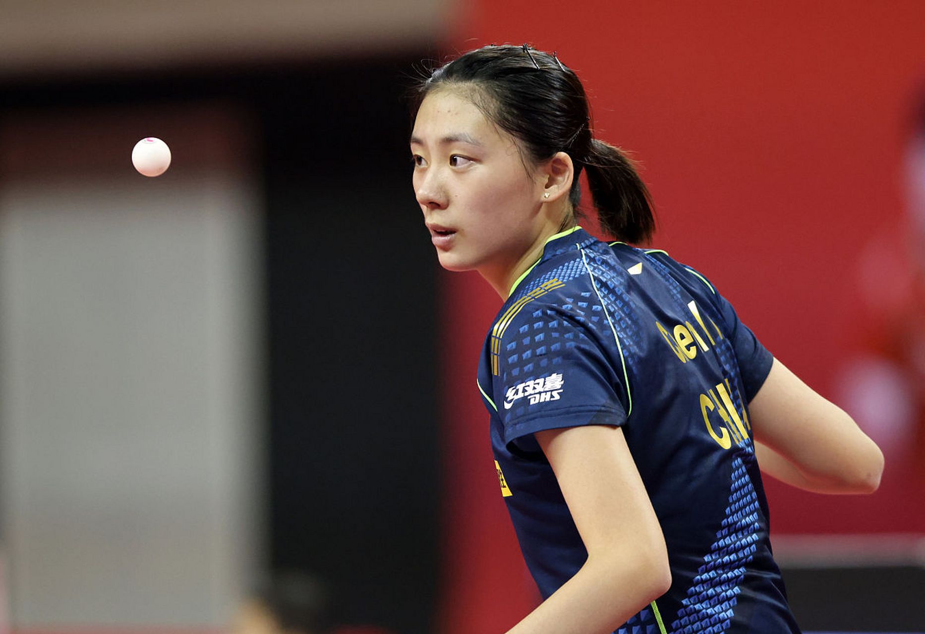 迅速建立起 迅速建立起