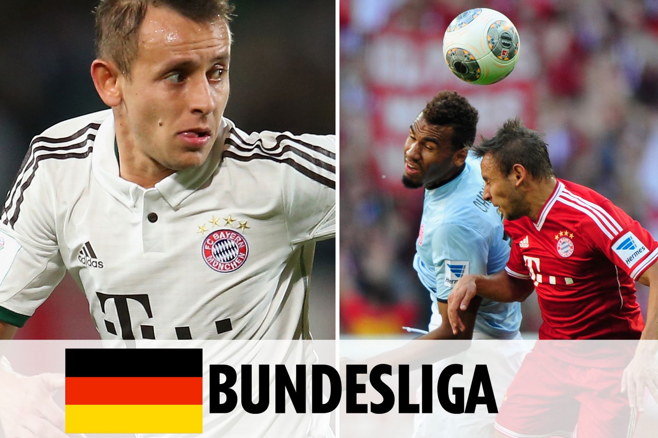 将自己优势 将自己优势